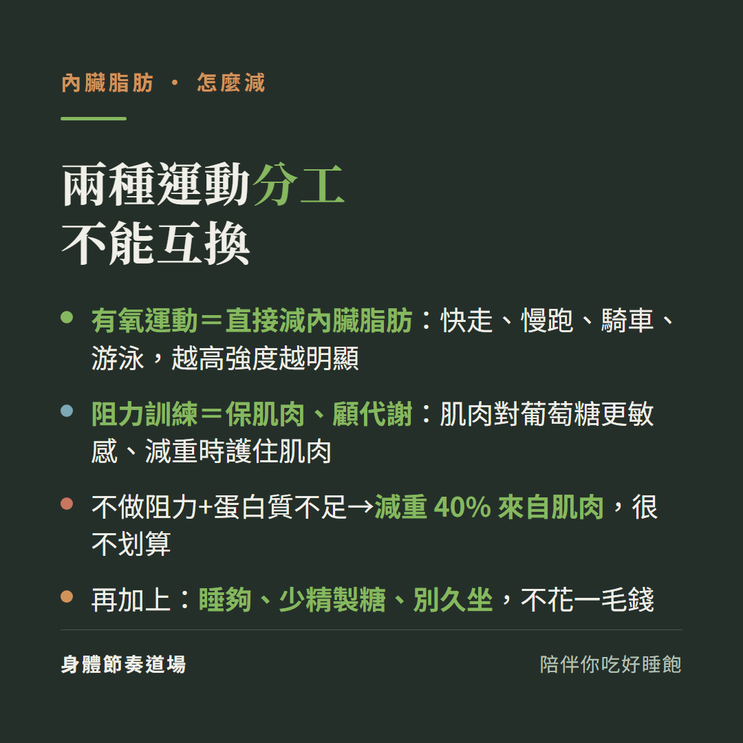 減內臟脂肪兩種運動分工不能互換:有氧運動快走慢跑騎車游泳直接減內臟脂肪越高強度越明顯、阻力訓練保肌肉顧代謝讓肌肉對葡萄糖更敏感減重時護住肌肉;不做阻力加蛋白質不足減重40%來自肌肉很不划算;再加睡夠少精製糖別久坐不花一毛錢