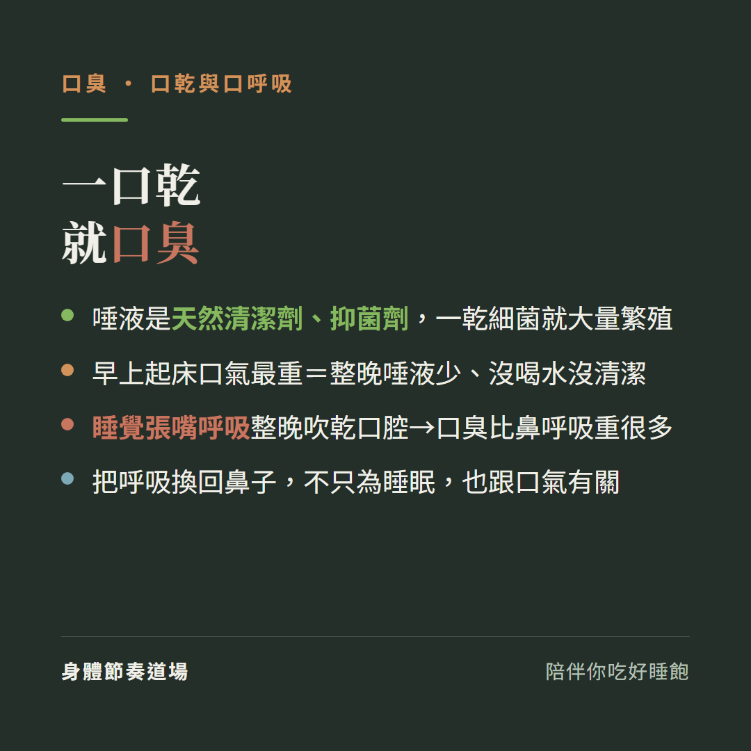 口臭一口乾就口臭:唾液是天然清潔劑抑菌劑一乾細菌就大量繁殖、早上起床口氣最重整晚唾液少沒喝水沒清潔、睡覺張嘴呼吸整晚吹乾口腔口臭比鼻呼吸重很多、把呼吸換回鼻子不只為睡眠也跟口氣有關