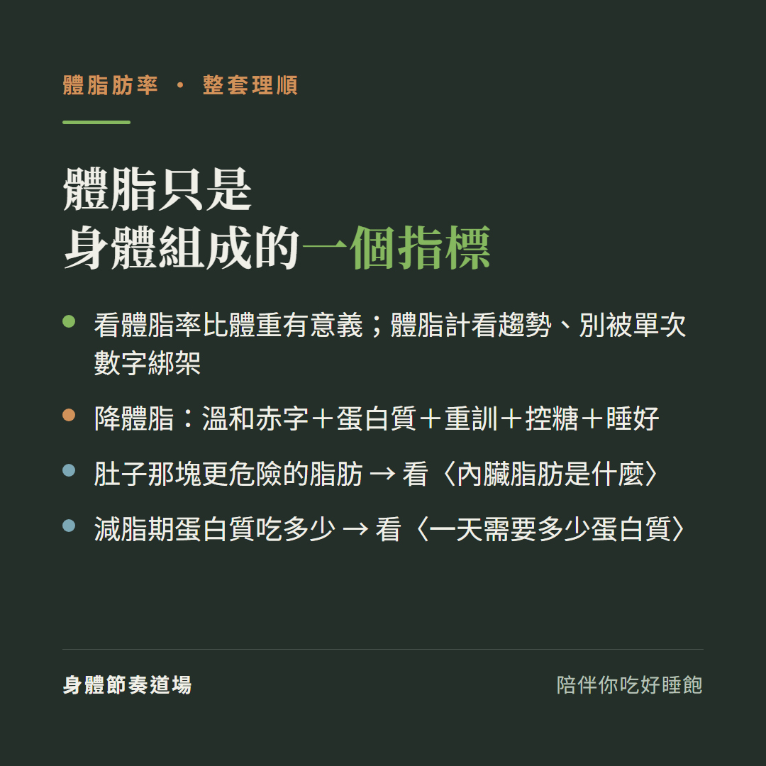 體脂只是身體組成的一個指標:看體脂率比體重有意義體脂計看趨勢別被單次數字綁架、降體脂溫和赤字加蛋白質加重訓加控糖加睡好、肚子那塊更危險的脂肪看內臟脂肪是什麼、減脂期蛋白質吃多少看一天需要多少蛋白質