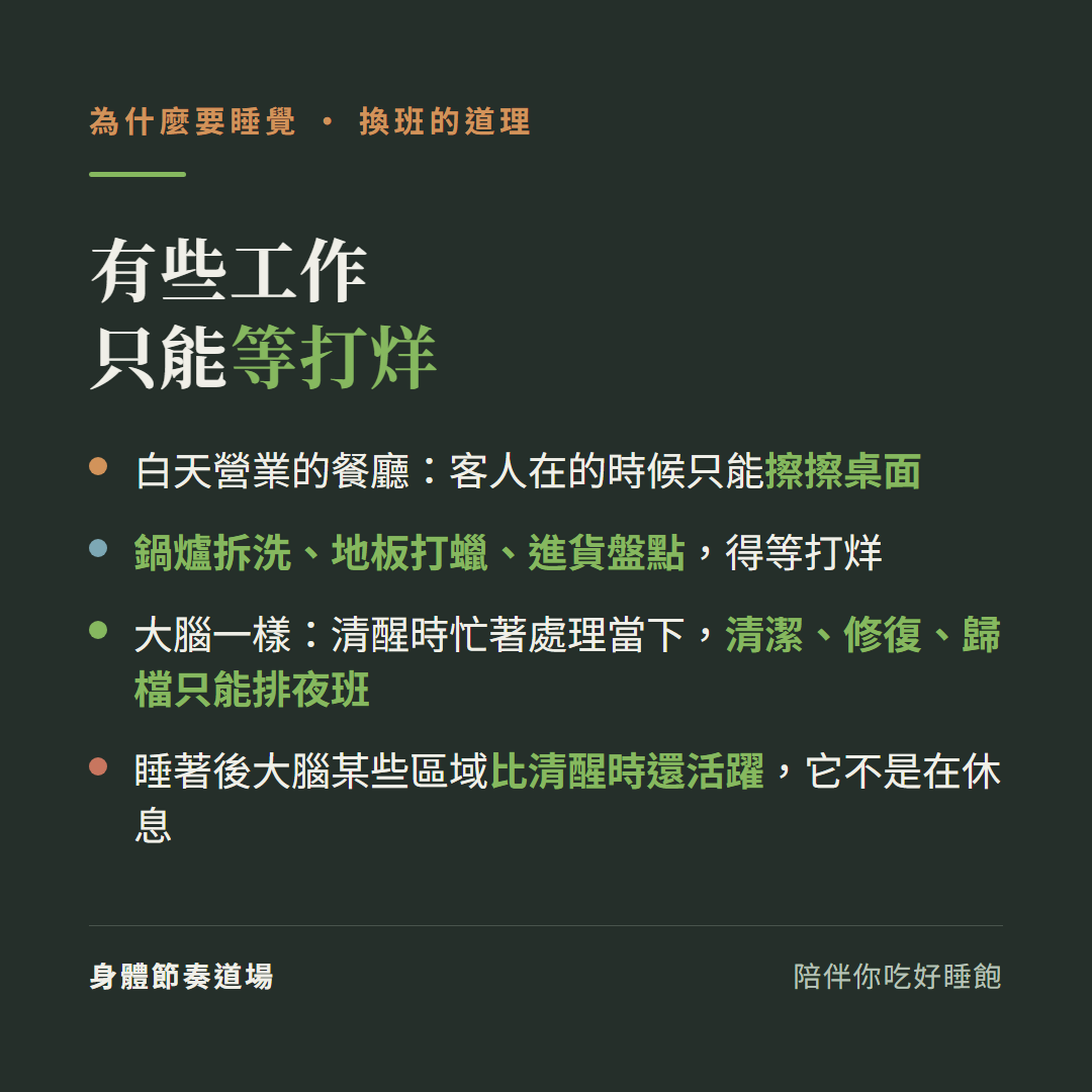 有些工作只能等打烊:白天營業的餐廳客人在時只能擦桌面,鍋爐拆洗地板打蠟進貨盤點得等打烊;大腦一樣清醒時忙著處理當下,清潔修復歸檔只能排夜班;睡著後大腦某些區域比清醒時還活躍它不是在休息