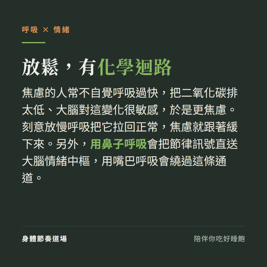 焦慮和呼吸是化學迴路:呼吸太快把二氧化碳排太低更焦慮;用鼻子呼吸把節律訊號送進情緒中樞