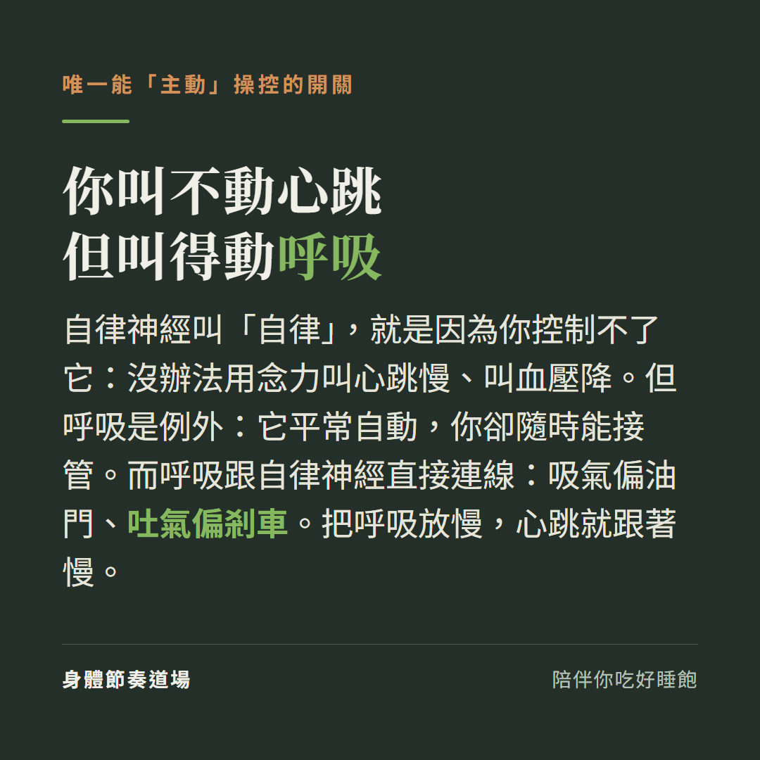 呼吸是唯一能主動操控自律神經的開關:你叫不動心跳但叫得動呼吸,吸氣偏油門吐氣偏剎車