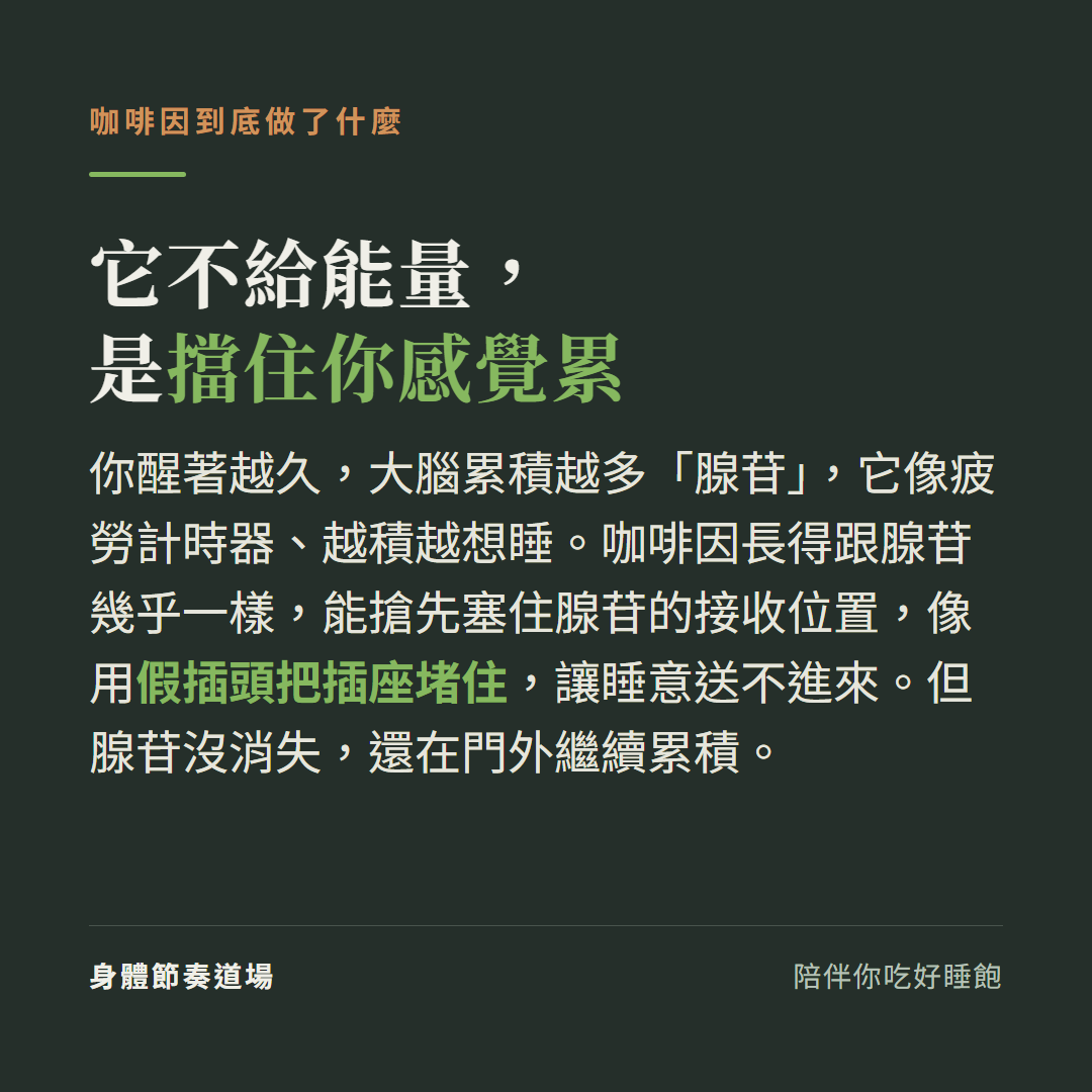 咖啡因不給能量是擋住你感覺累,它長得像腺苷、搶先塞住睡意訊號的接收位置