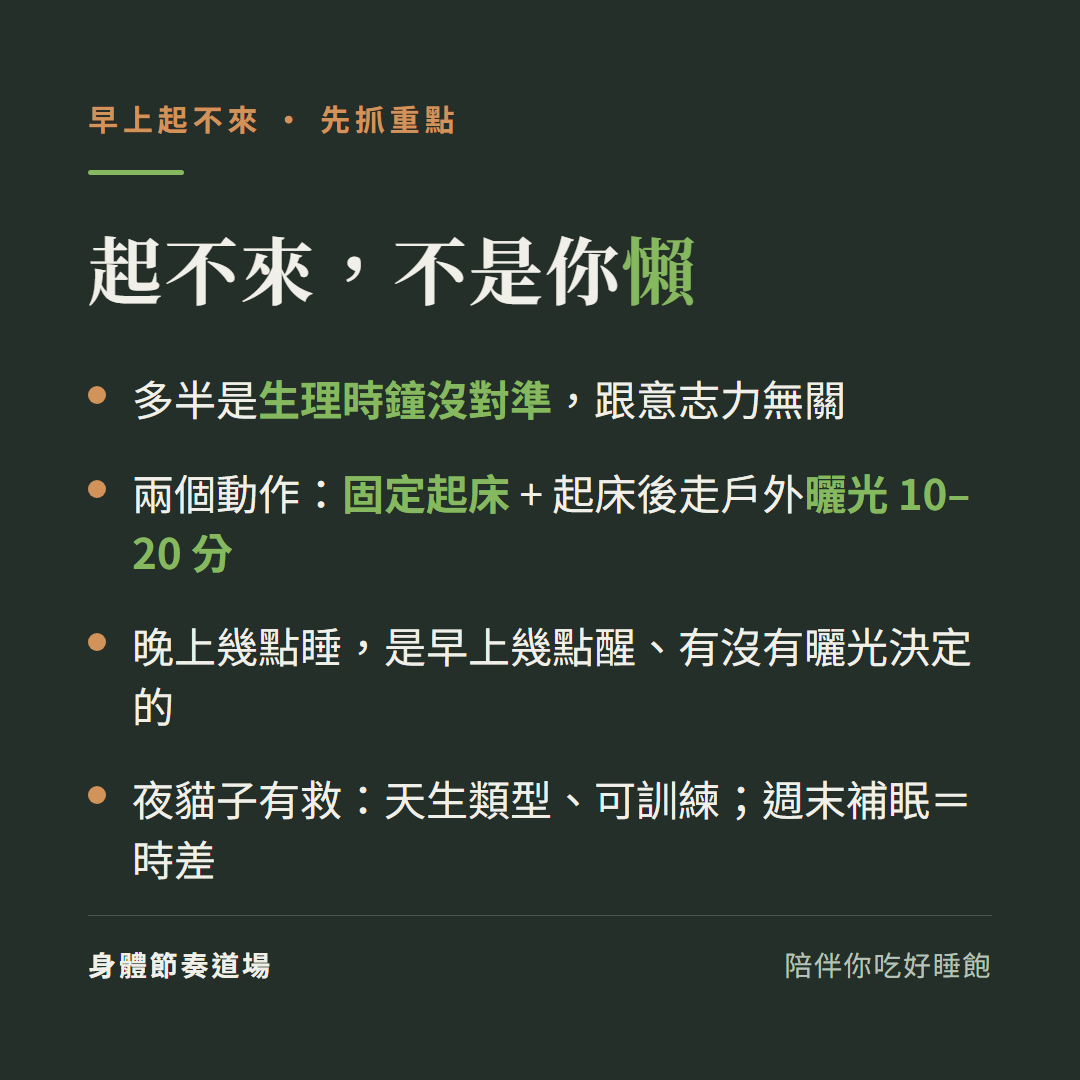 早上起不來重點：多半是生理時鐘沒對準、固定起床加早晨曬光、夜貓子可訓練