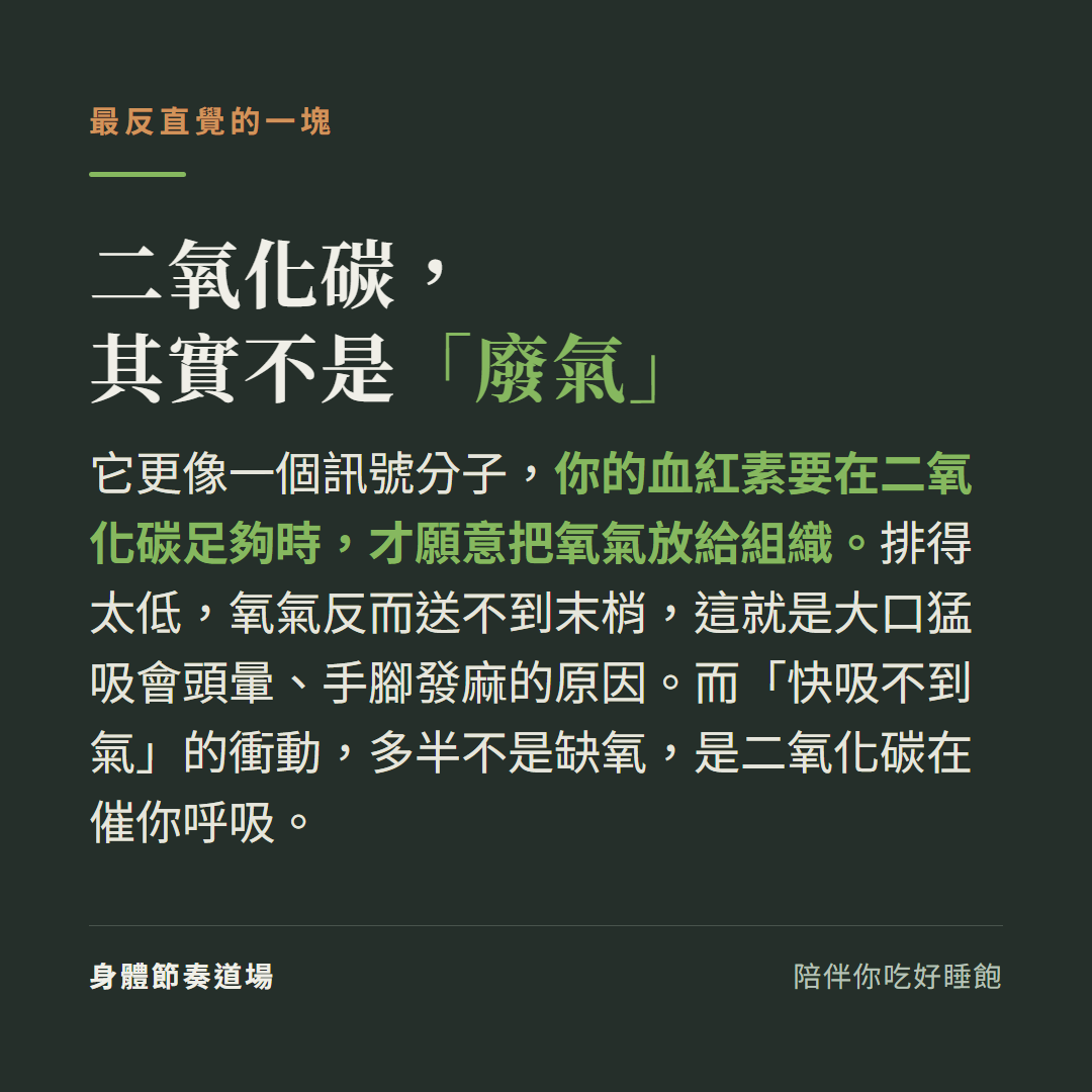 二氧化碳其實不是廢氣:它是訊號分子,血紅素要在二氧化碳足夠時才放氧給組織,排太低氧氣反而送不到末梢(頭暈手腳發麻);「快吸不到氣」多半不是缺氧是二氧化碳在催你呼吸
