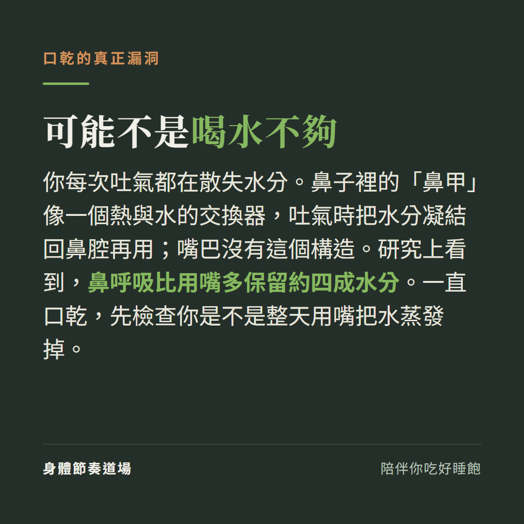 一直口乾可能不是喝水不夠:鼻甲像熱與水的交換器回收吐氣的水分,鼻呼吸比用嘴多保留約四成水分
