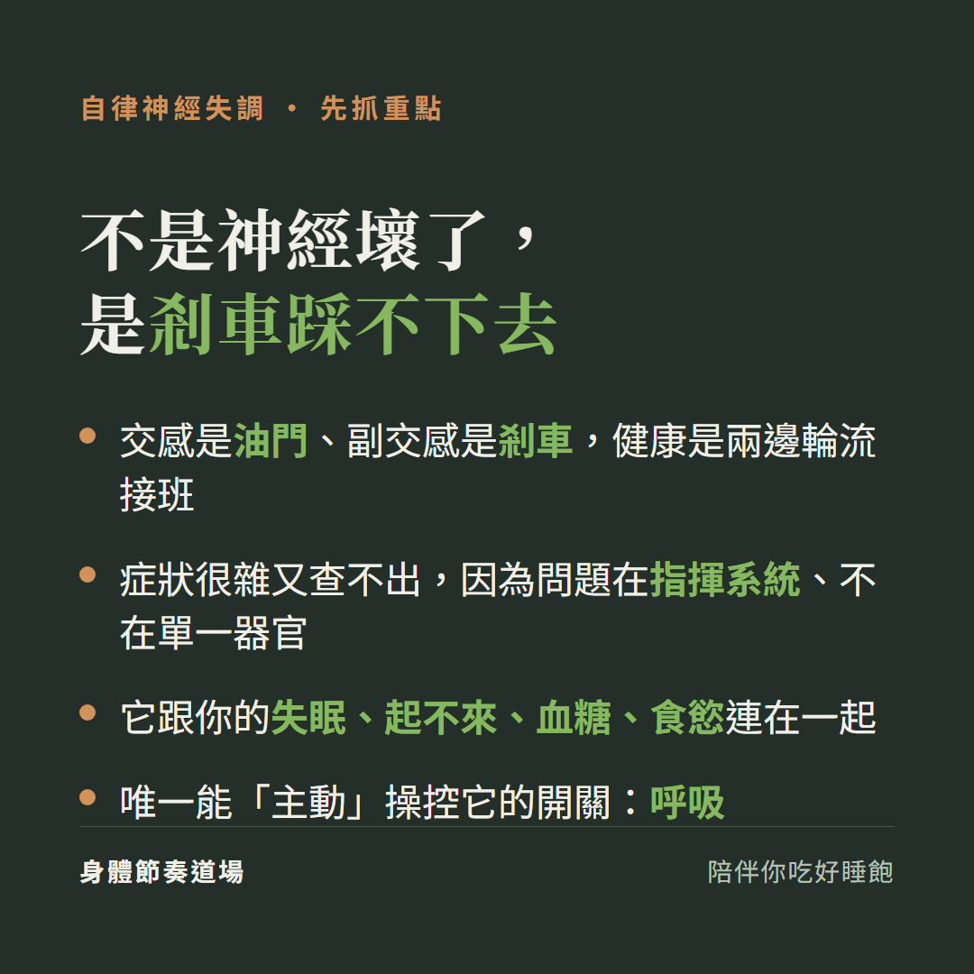 自律神經失調重點:不是神經壞了是剎車踩不下去、症狀雜因為問題在指揮系統、跟睡眠血糖連在一起、呼吸是唯一主動開關