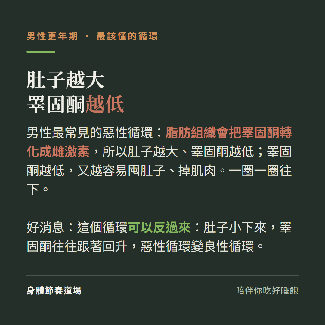 男性更年期肚子越大睪固酮越低:脂肪組織會把睪固酮轉化成雌激素所以肚子越大睪固酮越低、睪固酮越低又越容易囤肚子掉肌肉一圈一圈往下、好消息這個循環可以反過來肚子小下來睪固酮往往跟著回升惡性循環變良性循環