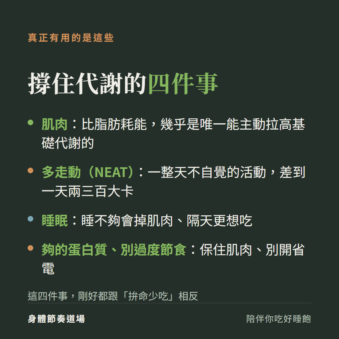 真正撐住代謝的四件事:肌肉、多走動 NEAT、睡眠、夠的蛋白質別過度節食,剛好都跟拚命少吃相反