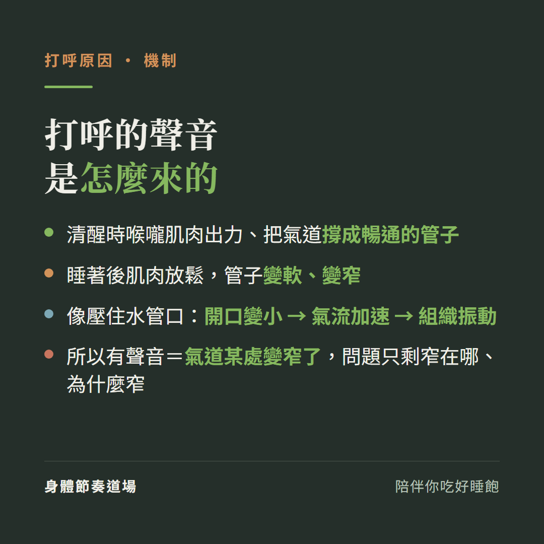 打呼的聲音怎麼來:清醒時喉嚨肌肉撐住氣道、睡著後放鬆變軟變窄,像壓住水管口開口變小氣流加速組織振動,有聲音代表氣道某處變窄了