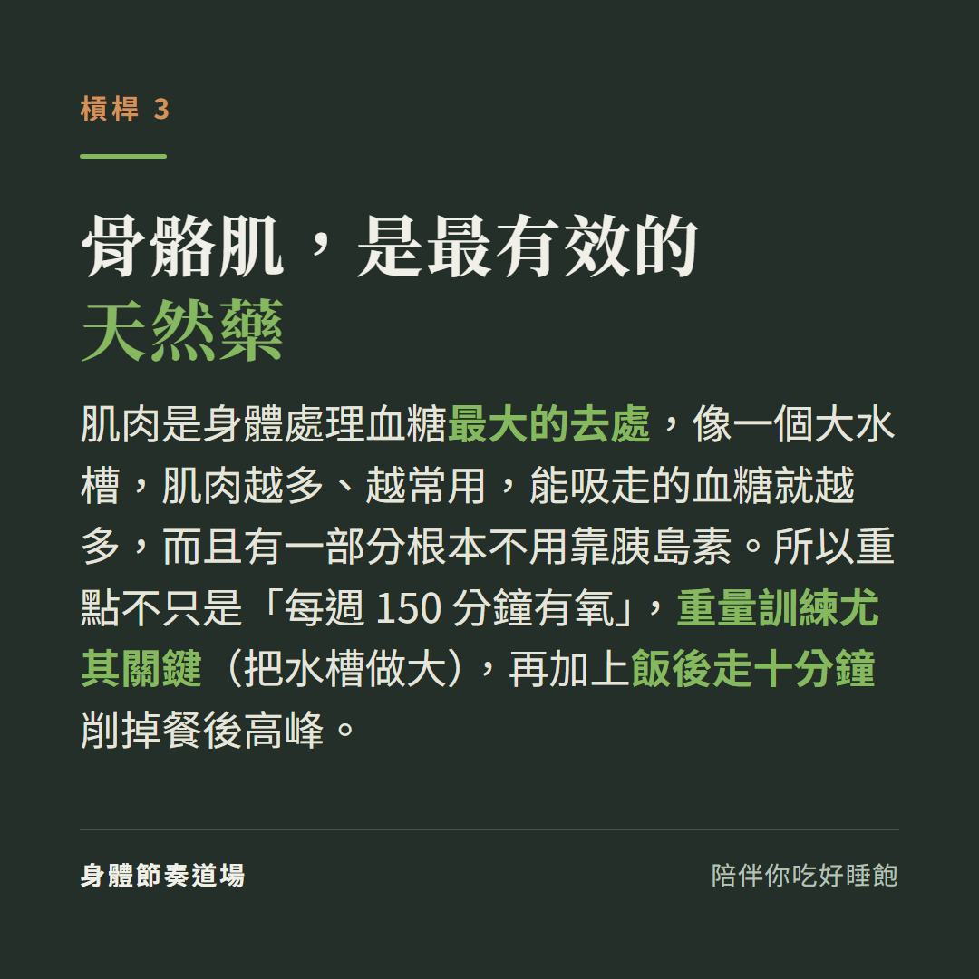 槓桿3骨骼肌是最有效的天然藥:肌肉是身體處理血糖最大的去處像大水槽、越多越能吸走血糖且有一部分不用靠胰島素,重量訓練尤其關鍵(把水槽做大)加上飯後走十分鐘削餐後高峰