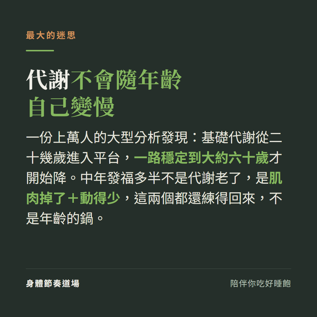 代謝不會隨年齡自己變慢:基礎代謝二十幾歲到約六十歲都穩定,中年發福多半是肌肉流失加上動得少