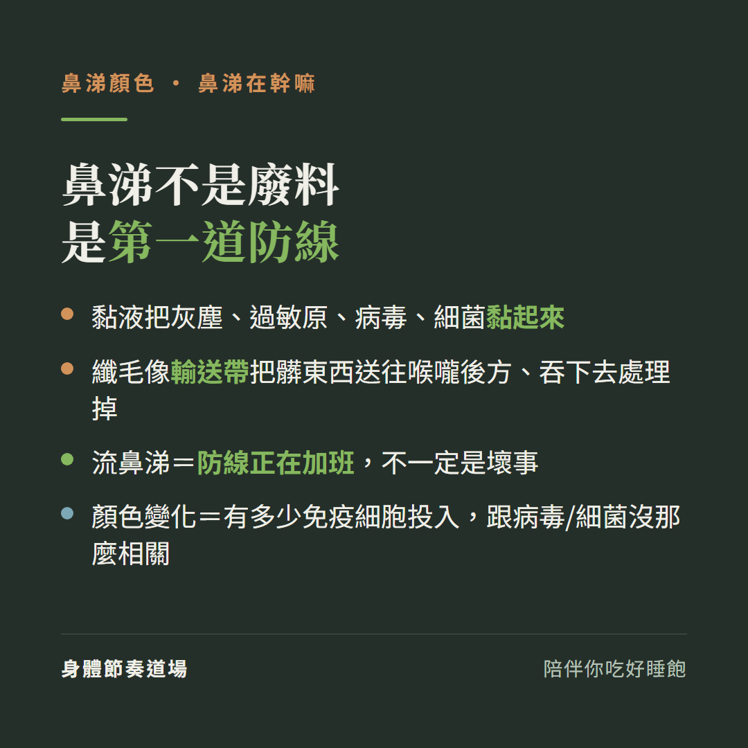 鼻涕不是廢料是第一道防線:黏液把灰塵過敏原病毒細菌黏起來、纖毛像輸送帶把髒東西送往喉嚨後方吞下去處理掉、流鼻涕等於防線正在加班不一定是壞事、顏色變化等於有多少免疫細胞投入跟病毒細菌沒那麼相關