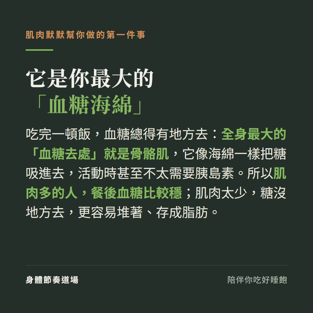 肌肉是你最大的血糖海綿:吃完飯血糖總得有地方去全身最大的血糖去處就是骨骼肌它像海綿把糖吸進去活動時甚至不太需要胰島素,肌肉多餐後血糖比較穩肌肉太少糖沒地方去更容易存成脂肪