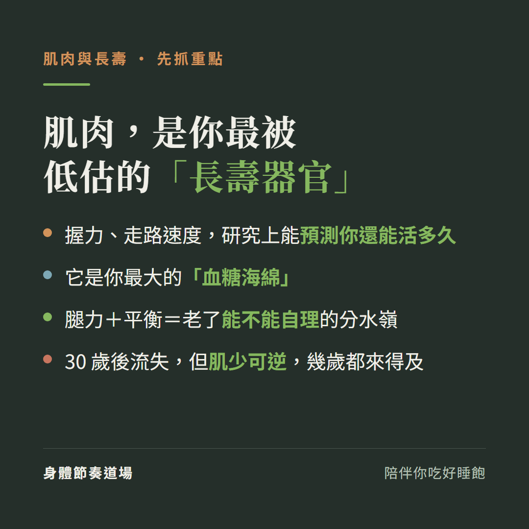 肌肉與長壽重點:肌肉是最被低估的長壽器官、握力和走路速度研究上能預測你還能活多久、它是你最大的血糖海綿、腿力加平衡是老了能不能自理的分水嶺、30歲後流失但肌少可逆幾歲都來得及