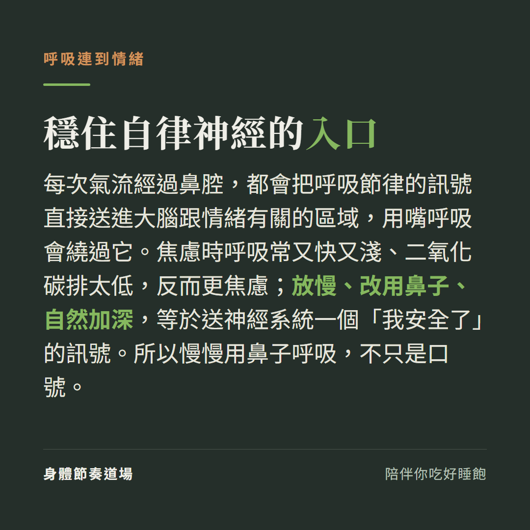 鼻呼吸把呼吸節律的訊號直送大腦情緒區域，是少數能主動穩住自律神經的入口，放慢、改用鼻子、自然加深