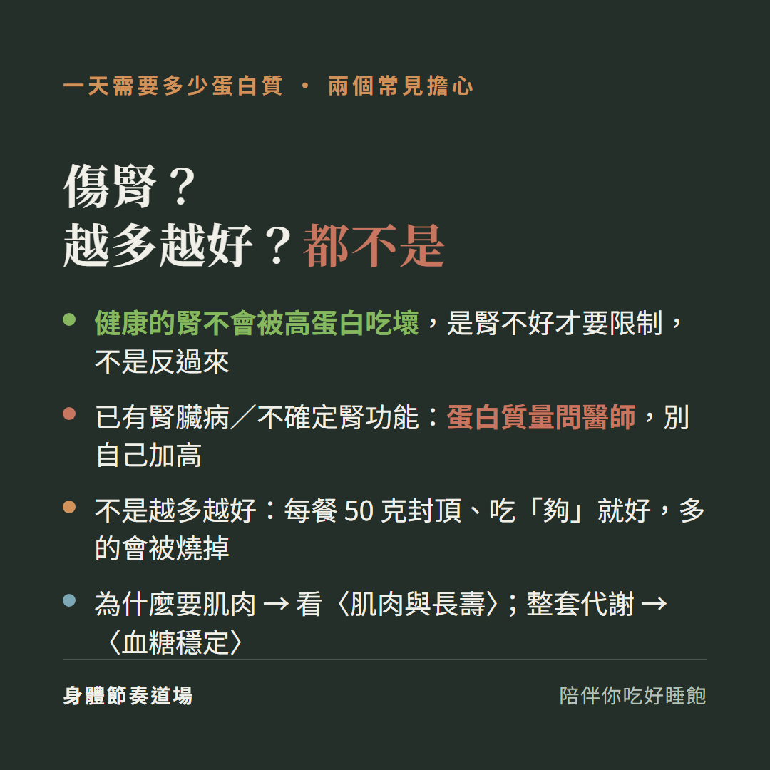 蛋白質傷腎越多越好都不是:健康的腎不會被高蛋白吃壞是腎不好才要限制不是反過來、已有腎臟病或不確定腎功能蛋白質量問醫師別自己加高、不是越多越好每餐50克封頂吃夠就好多的會被燒掉、為什麼要肌肉看肌肉與長壽整套代謝看血糖穩定
