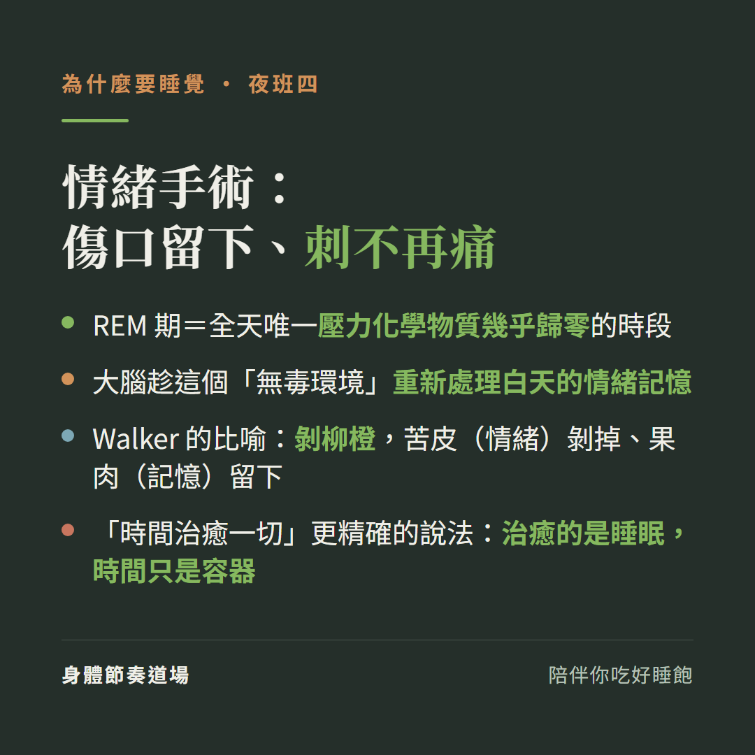 夜班四情緒手術傷口留下刺不再痛:REM期是全天唯一壓力化學物質幾乎歸零的時段,大腦趁無毒環境重新處理白天的情緒記憶;Walker比喻剝柳橙苦皮(情緒)剝掉果肉(記憶)留下;時間治癒一切更精確的說法是治癒的是睡眠時間只是容器