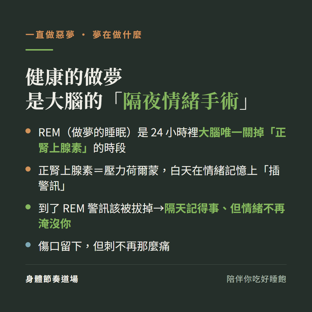 健康的做夢是大腦的隔夜情緒手術:REM做夢的睡眠是24小時裡大腦唯一關掉正腎上腺素的時段、正腎上腺素是壓力荷爾蒙白天在情緒記憶上插警訊、到了REM警訊該被拔掉隔天記得事但情緒不再淹沒你、傷口留下但刺不再那麼痛