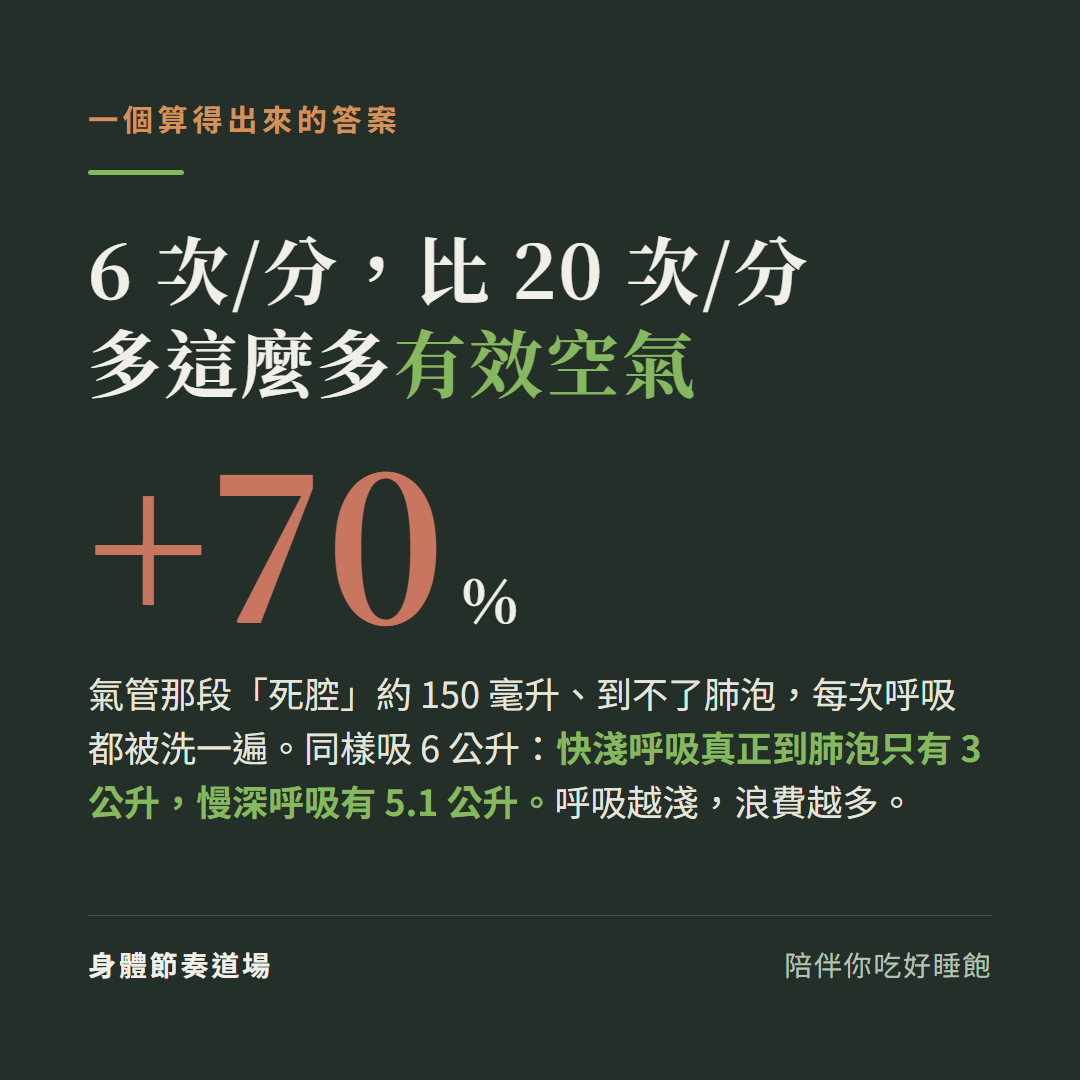 慢呼吸的算術:氣管死腔約150毫升到不了肺泡每次被洗一遍,同樣吸6公升,快淺呼吸真正到肺泡只3公升、慢深呼吸有5.1公升,每分鐘6次比20次多70%有效空氣