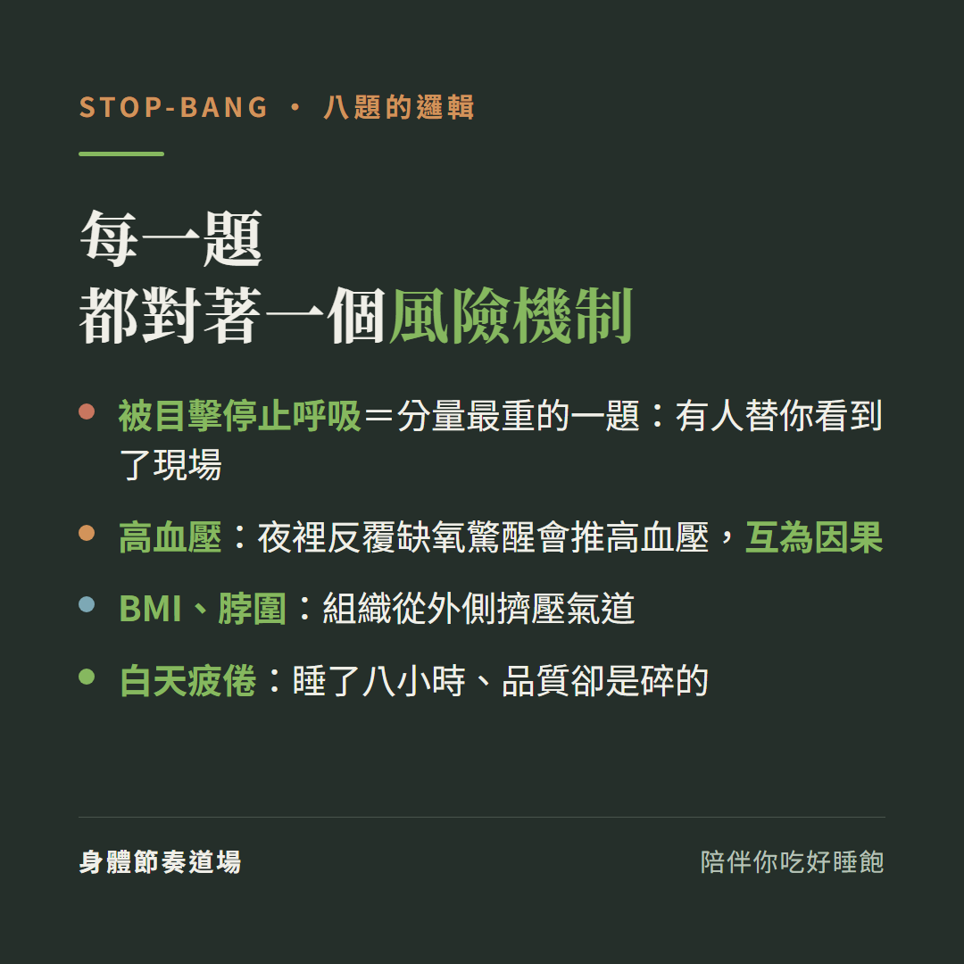 STOP-BANG每一題對著一個風險機制:被目擊停止呼吸是分量最重的一題有人替你看到現場、高血壓和呼吸中止互為因果、BMI脖圍是組織從外側擠壓氣道、白天疲倦是睡了八小時品質卻是碎的