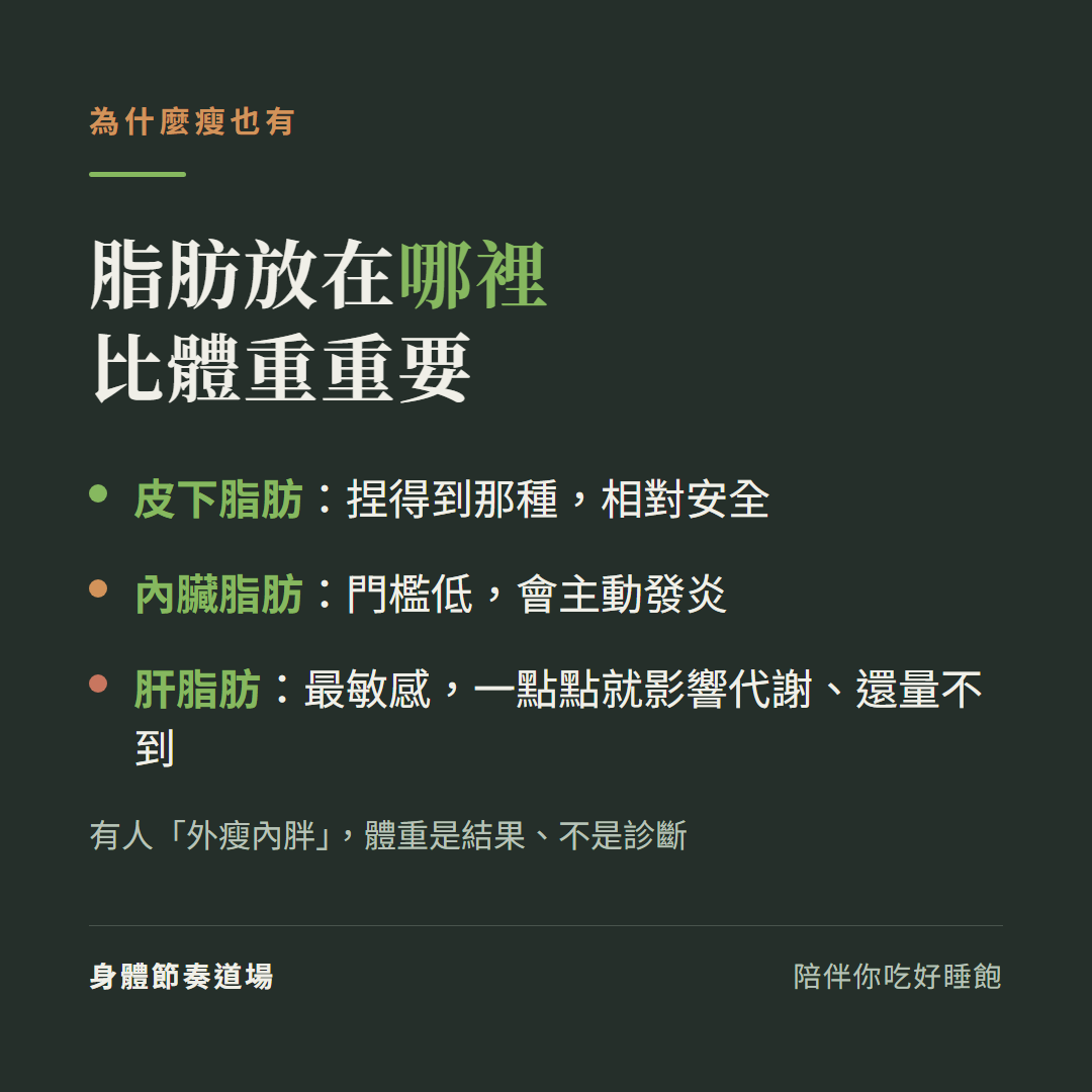 三種脂肪倉庫:皮下脂肪相對安全、內臟脂肪門檻低會發炎、肝脂肪最敏感一點點就影響代謝還量不到