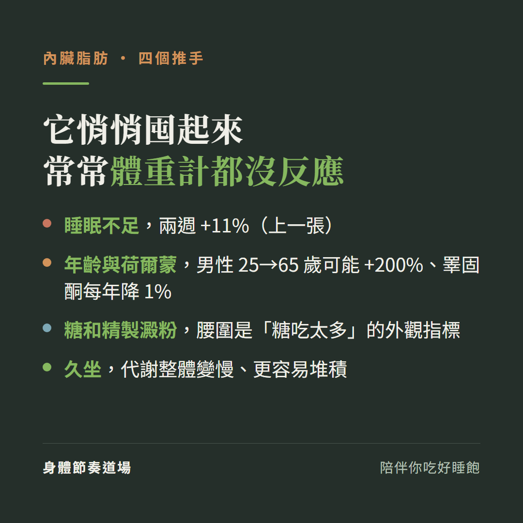 內臟脂肪悄悄囤起來常常體重計都沒反應的四個推手:睡眠不足兩週增加11%、年齡與荷爾蒙男性25到65歲可能增加200%睪固酮每年降1%、糖和精製澱粉腰圍是糖吃太多的外觀指標、久坐讓代謝整體變慢更容易堆積