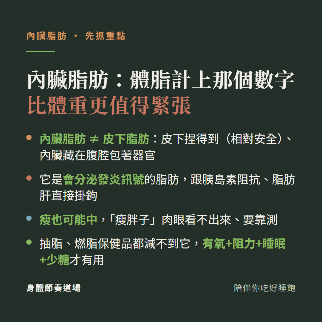 內臟脂肪重點:體脂計上那個數字比體重更值得緊張,內臟脂肪不等於皮下脂肪皮下捏得到相對安全內臟藏在腹腔包著器官;它是會分泌發炎訊號的脂肪跟胰島素阻抗脂肪肝直接掛鉤;瘦也可能中瘦胖子肉眼看不出來;抽脂燃脂保健品都減不到它有氧加阻力加睡眠加少糖才有用