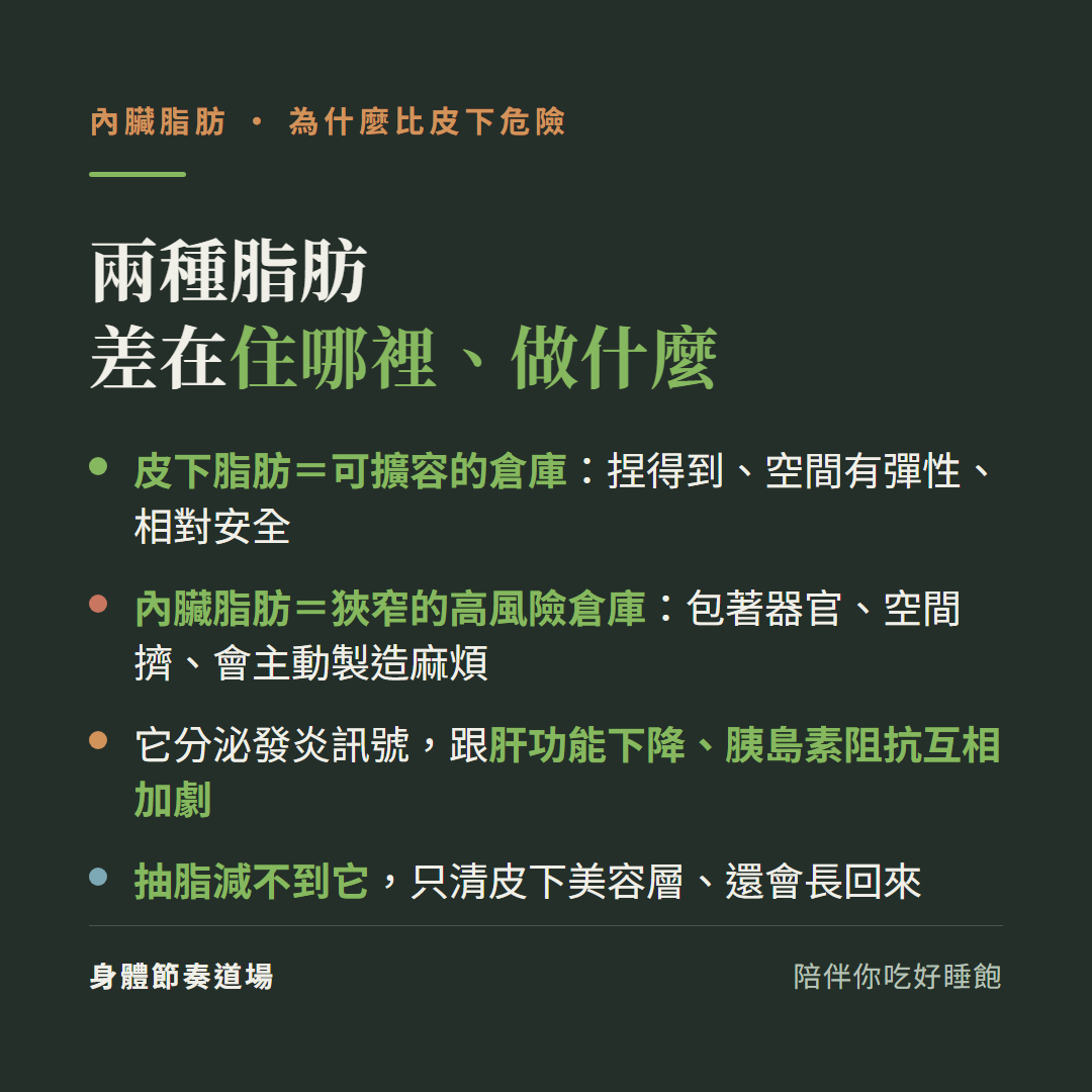 兩種脂肪差在住哪裡做什麼:皮下脂肪是可擴容的倉庫捏得到空間有彈性相對安全、內臟脂肪是狹窄的高風險倉庫包著器官空間擠會主動製造麻煩;它分泌發炎訊號跟肝功能下降胰島素阻抗互相加劇;抽脂減不到它只清皮下美容層還會長回來