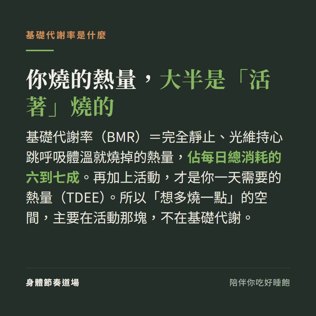 基礎代謝率是什麼:完全靜止維持心跳呼吸體溫就燒掉的熱量,佔每日總消耗六到七成,再加活動才是 TDEE