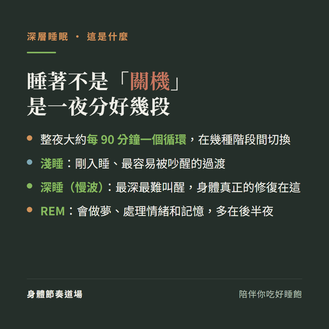睡著不是關機是一夜分好幾段:整夜大約每90分鐘一個循環在幾種階段間切換、淺睡是剛入睡最容易被吵醒的過渡、深睡慢波是最深最難叫醒身體真正的修復在這、REM會做夢處理情緒和記憶多在後半夜
