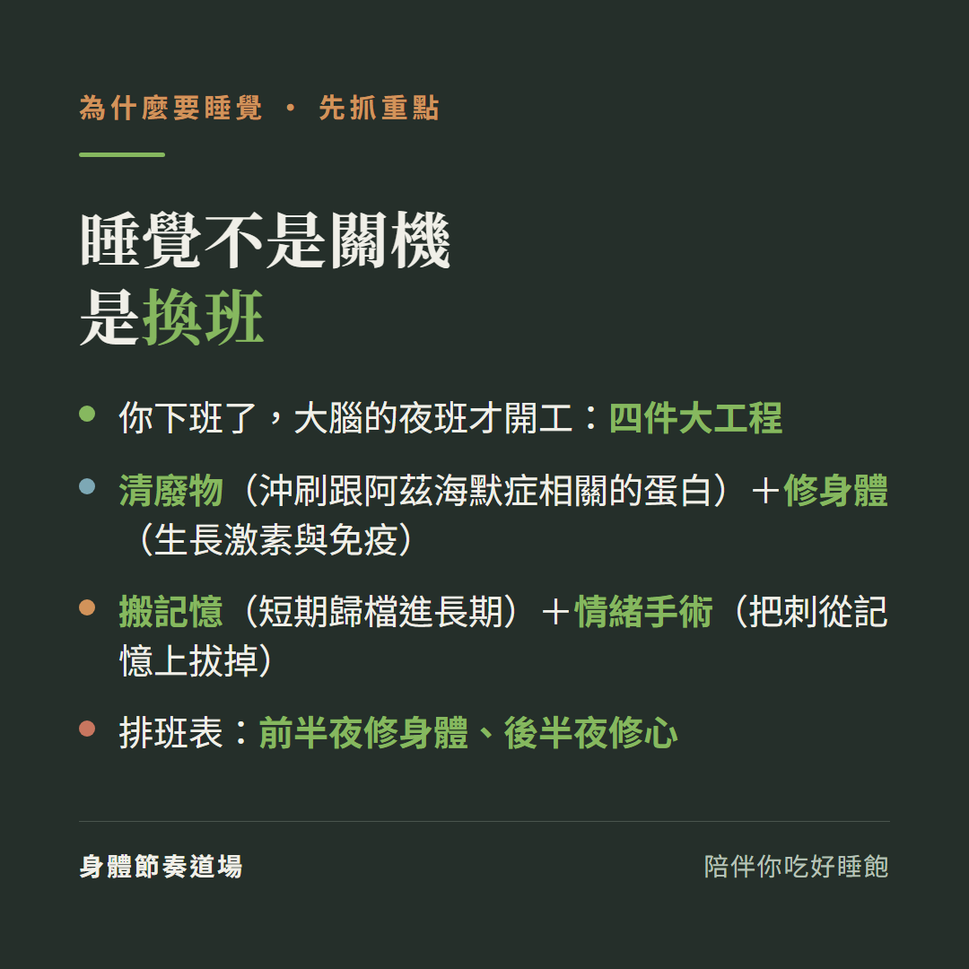 為什麼要睡覺重點:睡覺不是關機是換班,你下班了大腦的夜班才開工四件大工程:清廢物(沖刷跟阿茲海默症相關的蛋白)修身體(生長激素與免疫)搬記憶(短期歸檔進長期)情緒手術(把刺從記憶上拔掉);排班表前半夜修身體後半夜修心