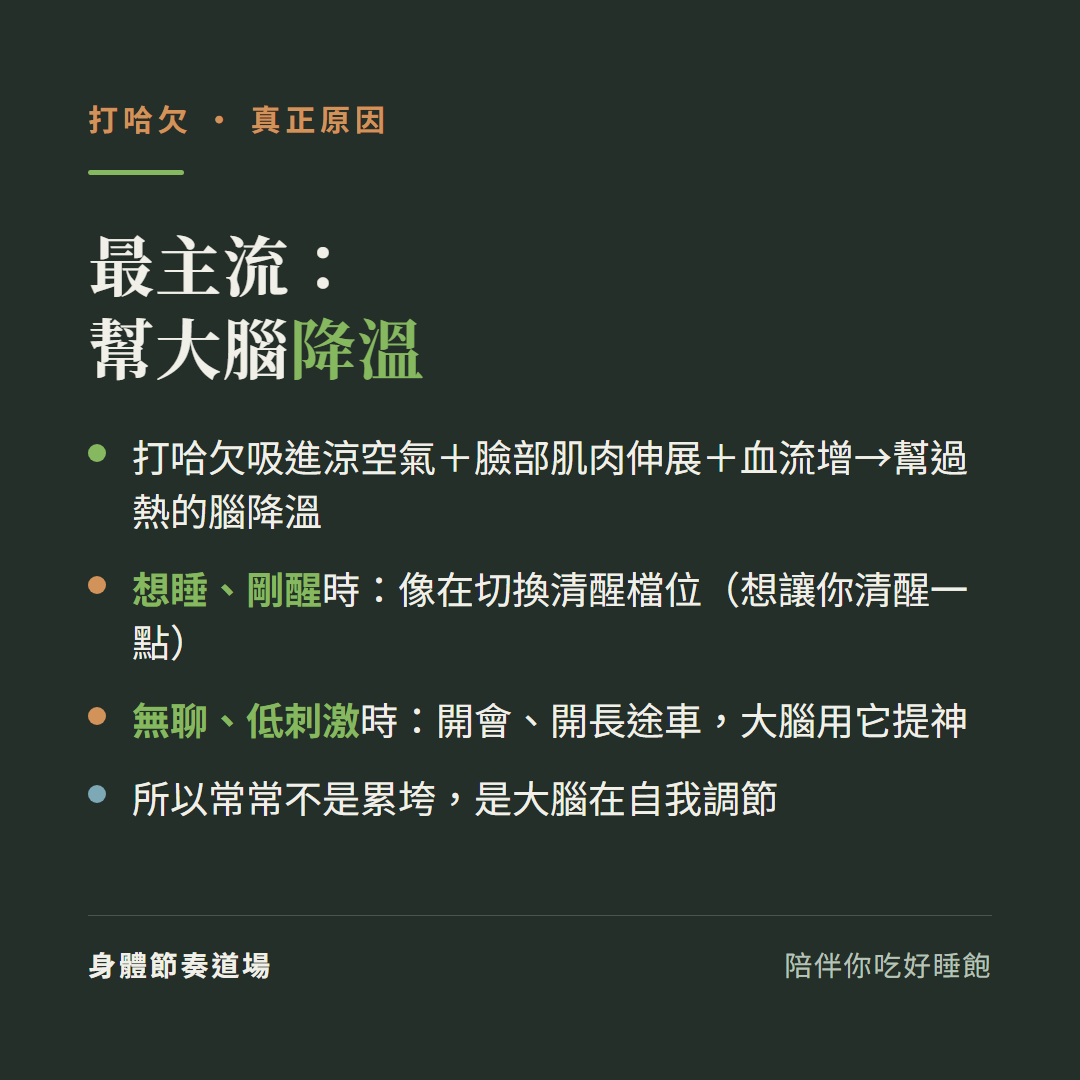 打哈欠最主流的解釋是幫大腦降溫:打哈欠吸進涼空氣加臉部肌肉伸展加血流增幫過熱的腦降溫、想睡剛醒時像在切換清醒檔位想讓你清醒一點、無聊低刺激時開會開長途車大腦用它提神、所以常常不是累垮是大腦在自我調節