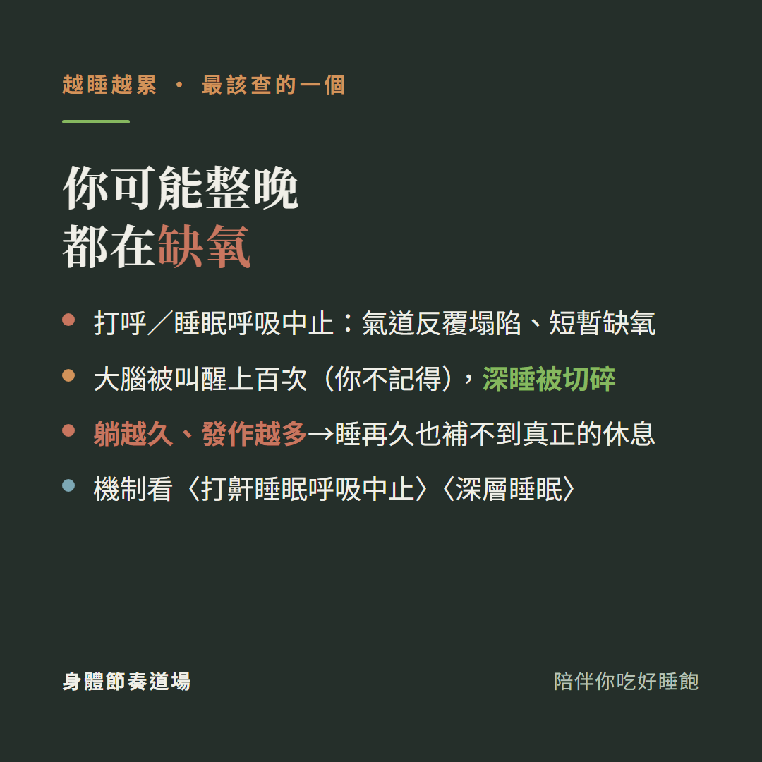 越睡越累你可能整晚都在缺氧:打呼睡眠呼吸中止氣道反覆塌陷短暫缺氧、大腦被叫醒上百次你不記得深睡被切碎、躺越久發作越多睡再久也補不到真正的休息、機制看打鼾睡眠呼吸中止與深層睡眠