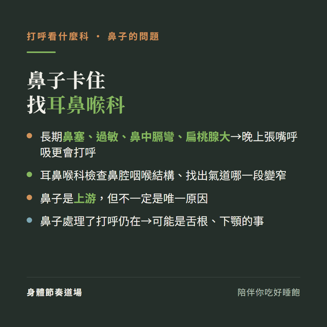 打呼鼻子卡住找耳鼻喉科:長期鼻塞過敏鼻中膈彎扁桃腺大晚上張嘴呼吸更會打呼、耳鼻喉科檢查鼻腔咽喉結構找出氣道哪段變窄、鼻子是上游但不一定唯一原因、鼻子處理了打呼仍在可能是舌根下顎的事