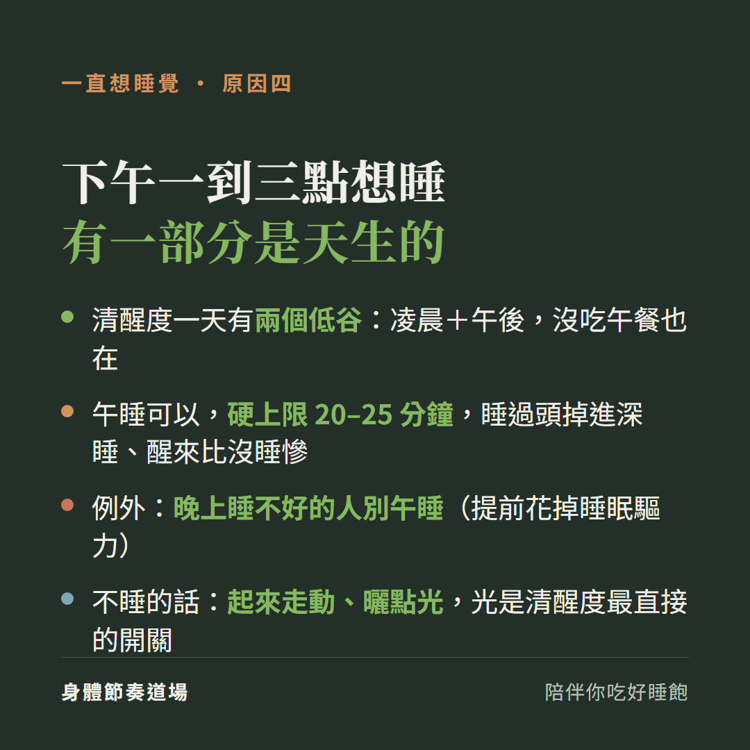 下午一到三點想睡有一部分是天生的:清醒度一天有兩個低谷凌晨加午後沒吃午餐也在;午睡可以硬上限20到25分鐘睡過頭掉深睡醒來比沒睡慘、晚上睡不好的人別午睡、不睡就起來走動曬點光