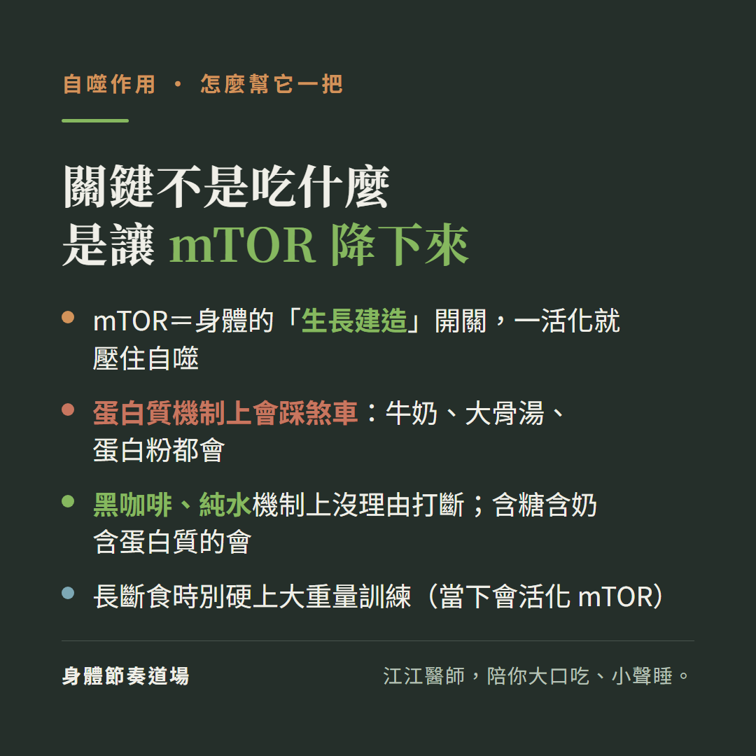怎麼幫自噬一把關鍵不是吃什麼是讓mTOR降下來:mTOR是身體的生長建造開關一活化就壓住自噬、蛋白質機制上會踩煞車牛奶大骨湯蛋白粉都會、黑咖啡純水機制上沒理由打斷含糖含奶含蛋白質的會、長斷食時別硬上大重量訓練當下會活化mTOR