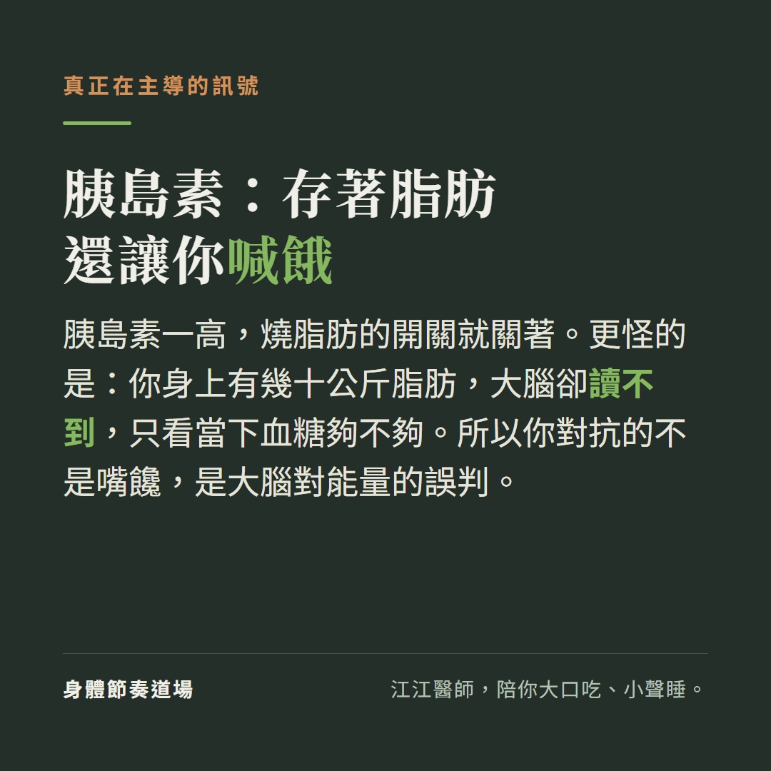 胰島素一邊把能量存成脂肪、一邊讓你一直餓,因為大腦在燒糖時讀不到儲存的脂肪