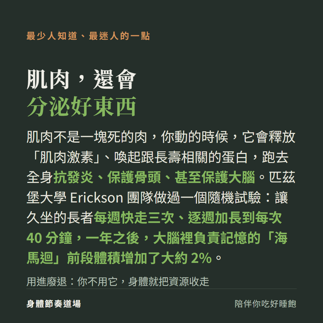 肌肉還會分泌好東西是內分泌器官:你動的時候肌肉會釋放肌肉激素喚起跟長壽相關的蛋白跑去全身抗發炎保護骨頭甚至保護大腦,匹茲堡大學Erickson團隊的隨機試驗讓久坐長者每週快走三次逐週加長到每次40分鐘一年之後大腦裡負責記憶的海馬迴前段體積增加了大約2%,用進廢退你不用它身體就把資源收走
