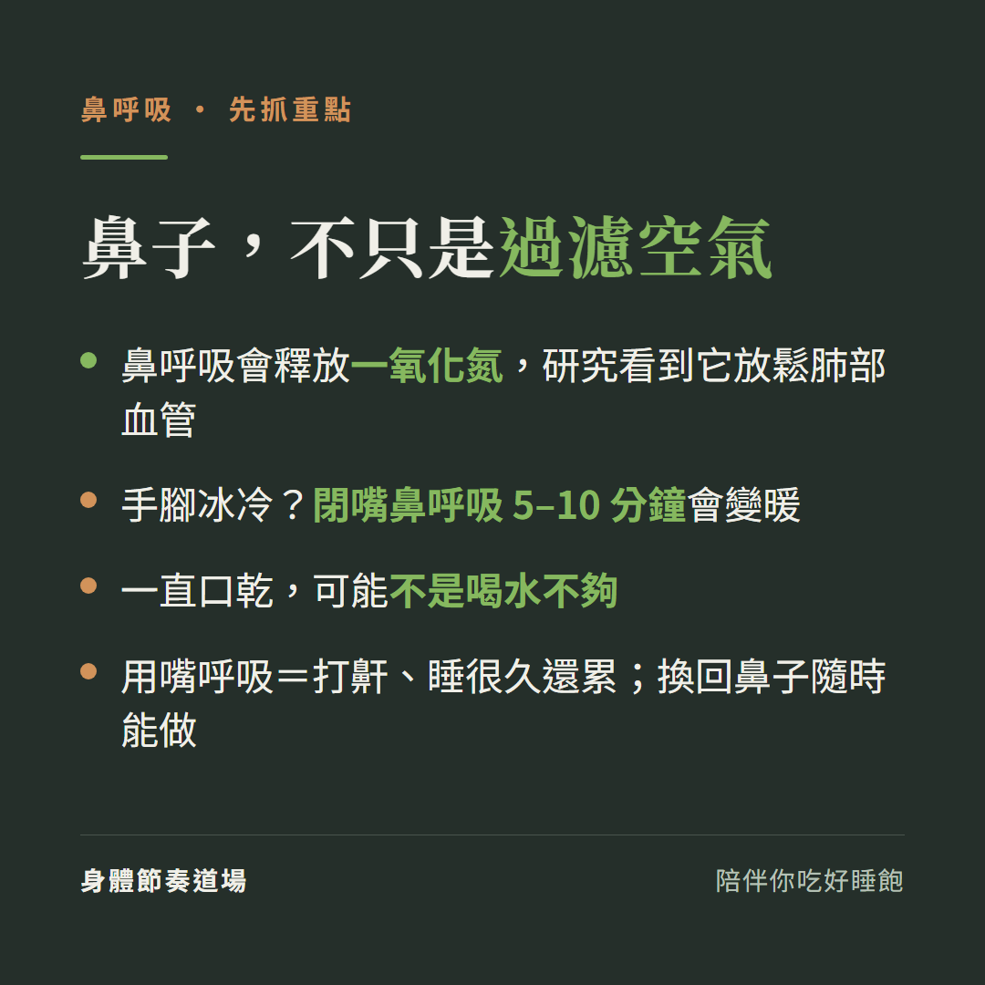 鼻呼吸重點:鼻子釋放一氧化氮、研究看到它放鬆肺部血管、手腳冰冷閉嘴呼吸五到十分鐘會變暖、一直口乾可能不是喝水不夠、用嘴呼吸打鼾睡很久還累