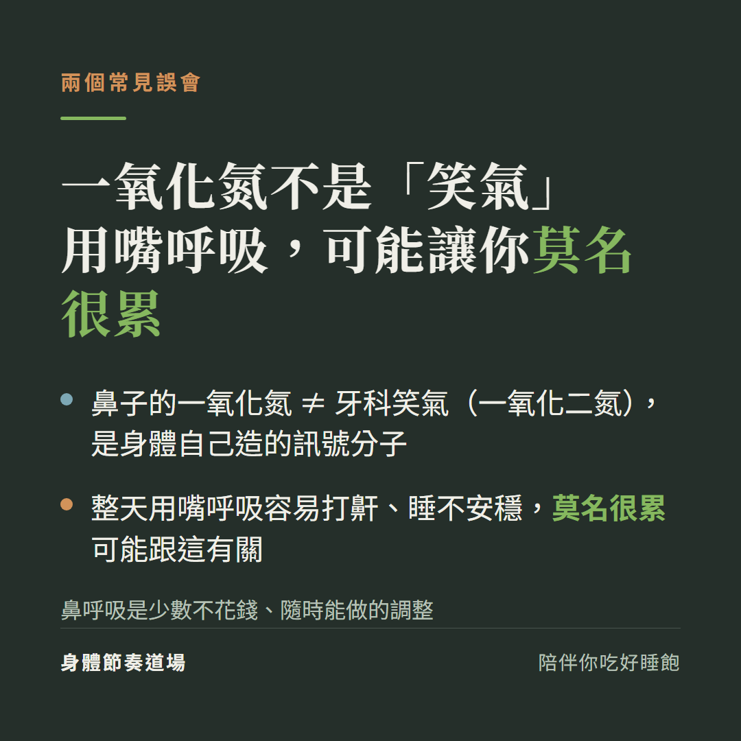 鼻子的一氧化氮不是牙科笑氣，是身體自己製造的訊號分子；整天用嘴呼吸容易打鼾睡不安穩，可能讓你莫名很累