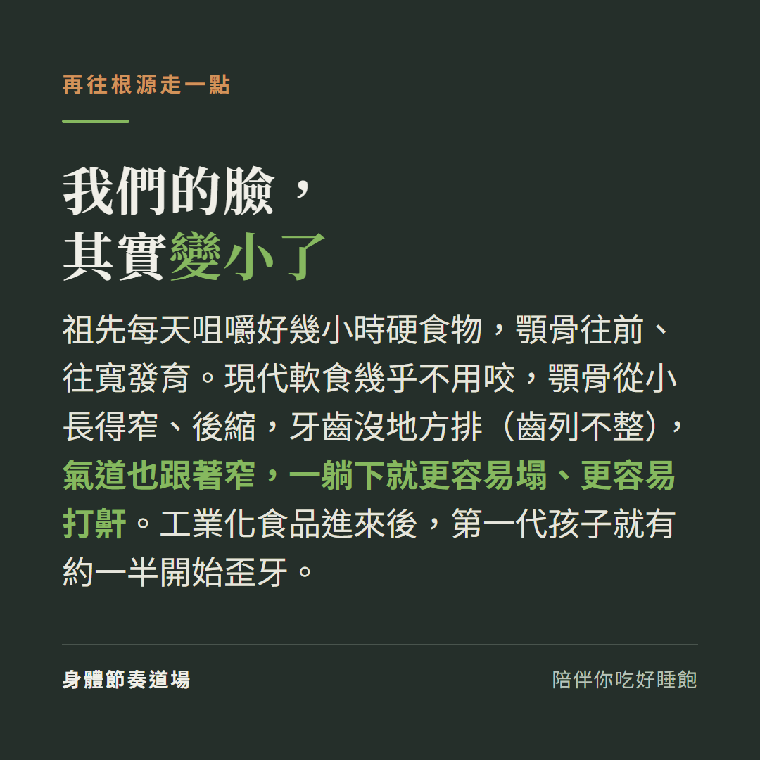 我們的臉變小了:祖先咀嚼硬食物讓顎骨往前往寬發育,現代軟食讓顎骨窄又後縮,牙齒沒地方排、氣道也窄、躺下更容易打鼾;工業化食品後第一代約一半歪牙