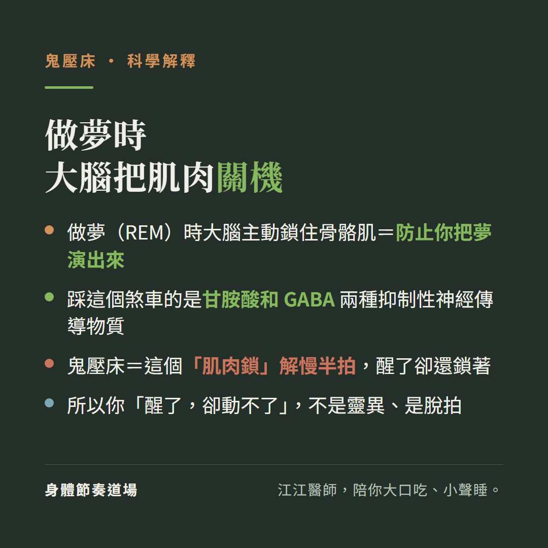 做夢時大腦把肌肉關機:做夢REM時大腦主動鎖住骨骼肌防止你把夢演出來、踩這個煞車的是甘胺酸和GABA兩種抑制性神經傳導物質、鬼壓床等於這個肌肉鎖解慢半拍醒了卻還鎖著、所以你醒了卻動不了不是靈異是脫拍