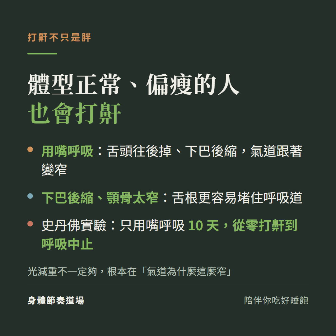 打鼾不只是胖:用嘴呼吸讓舌頭後墜、下巴後縮顎骨太窄都讓氣道易塌;史丹佛實驗只用嘴呼吸10天從零打鼾到睡眠呼吸中止;光減重不一定夠