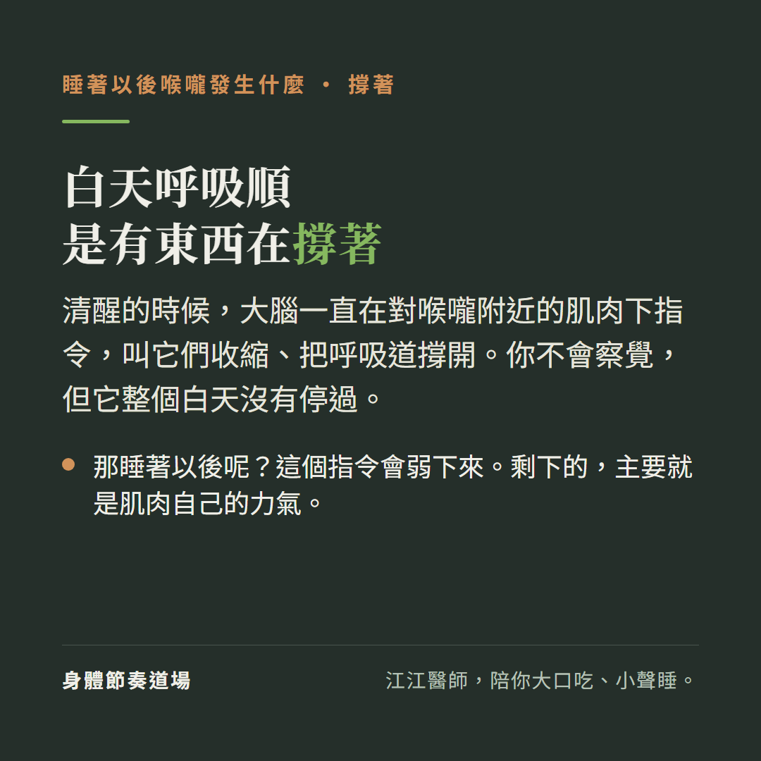 白天呼吸順是有東西在撐著:清醒的時候大腦一直在對喉嚨附近的肌肉下指令叫它們收縮把呼吸道撐開,你不會察覺但它整個白天沒有停過;那睡著以後呢?這個指令會弱下來,剩下的主要就是肌肉自己的力氣