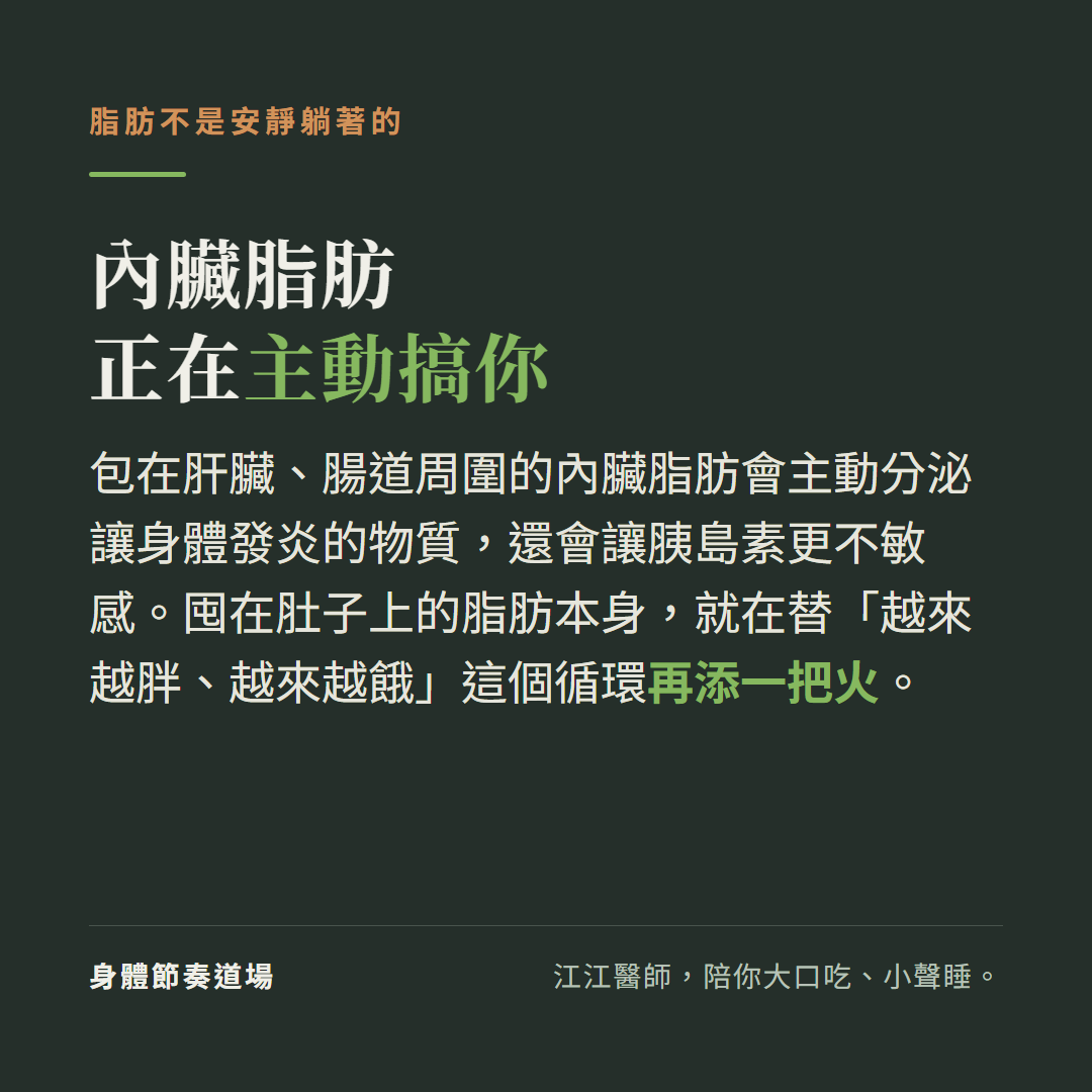 內臟脂肪不是安靜的儲存物,它主動分泌發炎物質、讓胰島素更不敏感,推動越胖越餓的循環