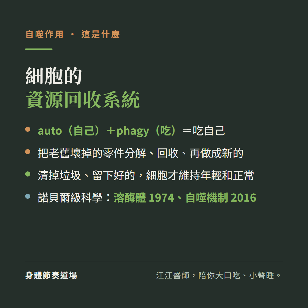 自噬是細胞的資源回收系統:auto自己加phagy吃等於吃自己、把老舊壞掉的零件分解回收再做成新的、清掉垃圾留下好的細胞才維持年輕和正常、諾貝爾級科學溶酶體1974與自噬機制2016