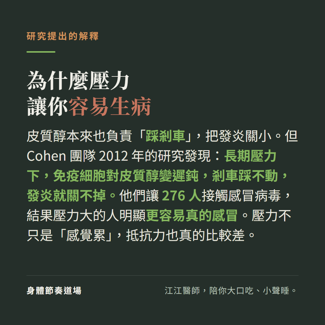 為什麼壓力讓你容易生病:皮質醇本來也負責踩剎車把發炎關小但Cohen團隊2012研究發現長期壓力下免疫細胞對皮質醇變遲鈍剎車踩不動發炎就關不掉,他們讓276人接觸感冒病毒結果壓力大的人明顯更容易真的感冒壓力不只是感覺累抵抗力也真的比較差
